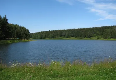 Сергиев Посад: озеро Лесное