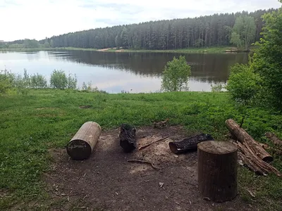 Озеро Лесное