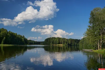 Лесное озеро. Фотограф Ботова Евгения