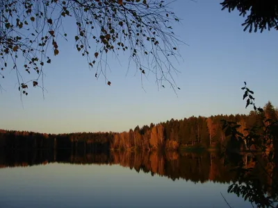 Сергиев Посад. Лесное озеро | На заднем плане -- плотинка | Flickr