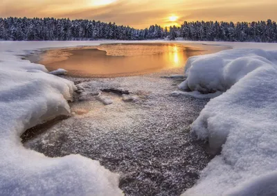 Озеро Лесное - Сергиев Посад 7, Россия - Фото 1 - ФотоТерра
