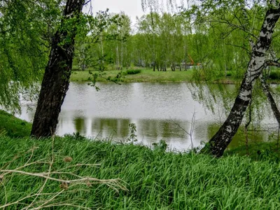 Файл:Торбеевское озеро - panoramio (4).jpg — Википедия