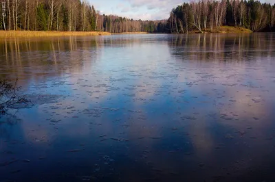 Озеро Лесное