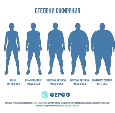 Мужское ожирение | Клиника мужского здоровья