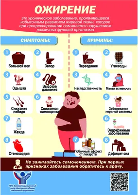 Ожирение – враг здоровью | Управления Роспотребнадзора по Магаданской  области