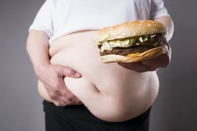 Ожирение: основные причины | Проект Роспотребнадзора «Здоровое питание»