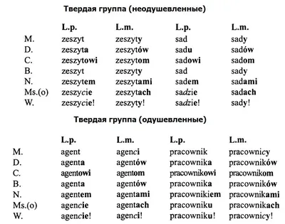 Нп, падежи, Русский Язык, Большой Формат, петленко - купить справочника и  сборника задач в интернет-магазинах, цены на Мегамаркет |