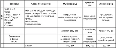 Дидактический плакат Падежи и склонения - купить дидактического материала,  практикума в интернет-магазинах, цены на Мегамаркет |