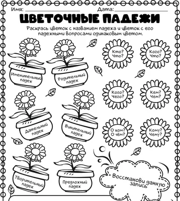 Падежи русского языка/ШМ-3248/ШМ-13086. Карточка. - купить с доставкой по  выгодным ценам в интернет-магазине OZON (700877346)