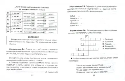 Карточка-шпаргалка \"Падежи русского языка\" 6х13 см купить в Чите Дошкольное  воспитание в интернет-магазине Чита.дети (9916173)