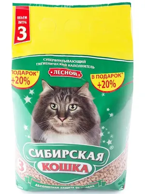 Футбол: Олег Яровинский в Разговоре по пятницам о Гинере и ЦСКА, Рубине и  Слуцком, Хвиче и Дзюбе. Спорт-Экспресс