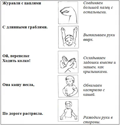 Пальчиковая гимнастика: авторский курс в стихах и картинках Анастасия  Онишкова - купить книгу Пальчиковая гимнастика: авторский курс в стихах и  картинках в Минске — Издательство Феникс на OZ.by