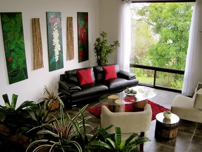 Фото Палисоты: уникальное растение, которое украсит ваш дом
