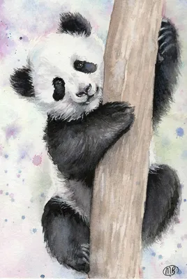 Pin by Delicada Art on PANDAS | Cute animal drawings, Cute panda cartoon,  Cute animals