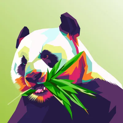 Pop Art panda illustration 4663145 Vector Art at Vecteezy