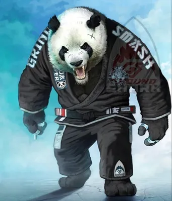 Панда боец арт - 46 фото