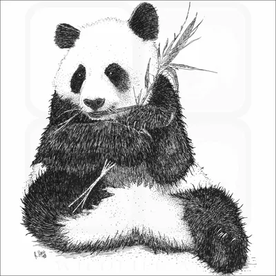 ArtStation - Cute Red Pandas Artwork