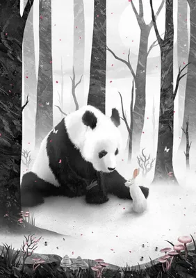 Cute Red Panda\" Art Board Print for Sale by elisemartinson | Redbubble