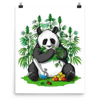Panda Bamboo Forest - Japan Collection by Ruby--Art on DeviantArt