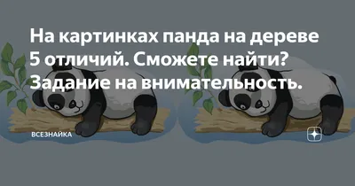 мультяшные картинки с пандами: 13 тыс изображений найдено в Яндекс.Картинках  | Cute panda, Cartoons vector, Free vector illustration