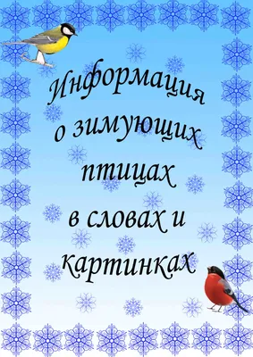 Учебно-методическое пособие (папка-передвижка) для организации  тематического уголка в ДОО \"Дети и природа\" - купить в интернет-магазине  Игросити