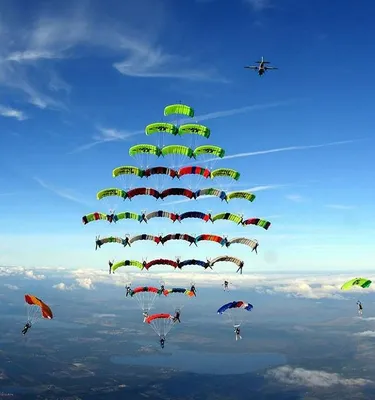 В Узбекистане намерены развивать парашютный спорт и готовить парашютистов