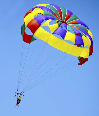 Новости по тегу: парашютный спорт - VITBICHI.BY | НОВОСТИ