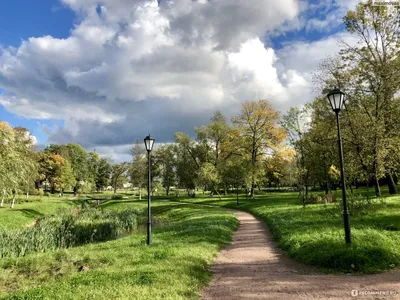 Парк Куракина Дача, Санкт-Петербург - «Куракина Дача - самый красивый парк  Невского района, чистый, ухоженный и очень уютный. » | отзывы