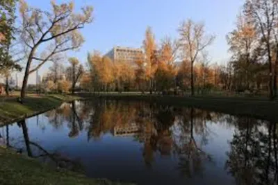 Парк «Куракина дача» в Санкт-Петербурге | A-a-ah.ru