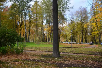 Санкт-Петербург, Парк \"Куракина дача\" — 2ГИС