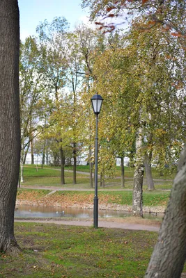 Отзыв о Парк \"Куракина Дача\" (Россия, Санкт-Петербург) | Самый красивый парк  Невского района