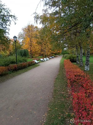 Парк Куракина Дача в Санкт-Петербурге