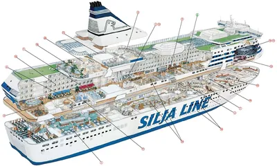 Отзывы о лайнере MSC Splendida