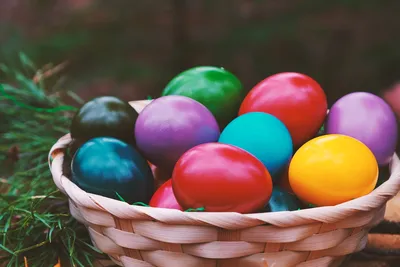 За яйцами! Поиск яиц и другие пасхальные традиции