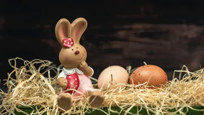 Почему Пасхальный кролик приносит яйца - Школа кондитерского искусства