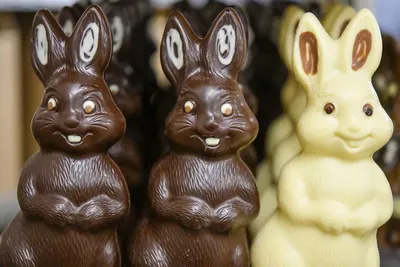 Фигурка Zaini Пасхальный кролик из молочного шоколада, 60 г (743480) купить  в Киеве, Украине | MAUDAU: цена, отзывы, характеристики