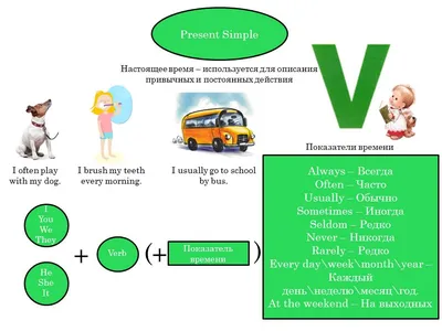 Present simple упражнения для детей начальных классов с ответами