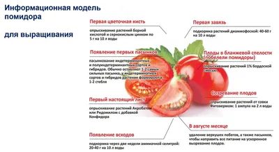 ПАСЫНКОВАНИЕ ПОМИДОР КОГДА НАЧИНАТЬ КАК И ДЛЯ ЧЕГО ЭТО НУЖНО - YouTube