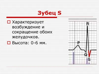 ЭКГ в норме и патологии - презентация онлайн