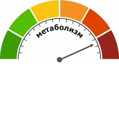 Нарушение обмена веществ: симптомы, лечение, причины, виды у детей и  взрослых