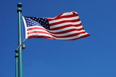 Многообразие И Патриотизм — стоковые фотографии и другие картинки Клятва  верности флагу США - Клятва верности флагу США, Азиатского и индийского  происхождения, Американская культура - iStock
