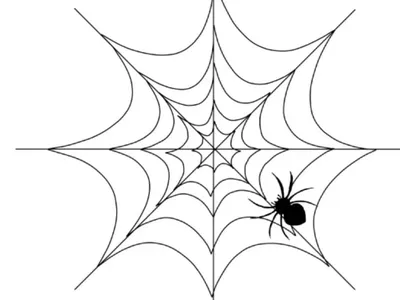 Профессор Почемушкин - Познавательный мультфильм для детей – Откуда паук  берет свою паутину? - YouTube
