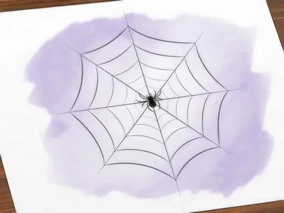 Как нарисовать паутину: этапы, шаги и особенности создания рисунка в виде  паутины