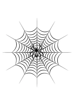 Паутина человека паука картинки - 75 фото
