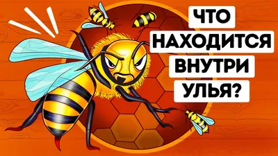 Пчела, пчелки. Рисование, страница 9. Воспитателям детских садов, школьным  учителям и педагогам - Маам.ру