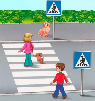 Правила дорожного движения для детей: чему научить ребенка? » Официальный  сайт городского округа Архангельской области «Мирный»