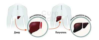 🐟 Купить печень трески в стекле кусочками в Москве по цене 865 руб за  банку - интернет-магазин Дикоед