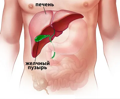 Печень трески натуральная купить с доставкой на дом по цене 1700 рублей в  интернет-магазине