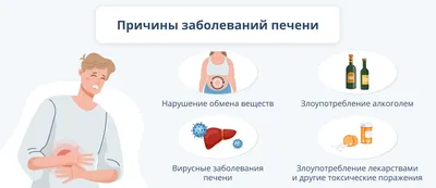 ПЕЧЕНЬ - ЦАРИЦА нашего организма? | Клиника тибетской медицины «НАРАН» |  Дзен