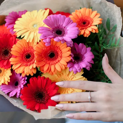 30 самых красивых весенних цветов: определитель с фото и названиями фото HD  картинки – Mariupol Pitomnik \"AZOV\"